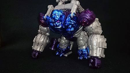 Optimus Primal_6