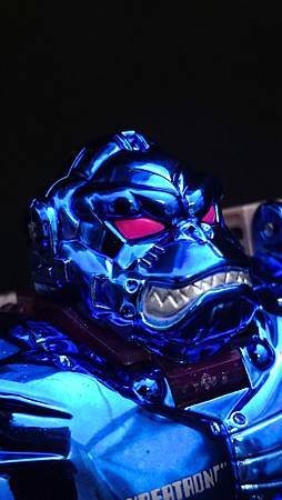 Optimus Primal_8