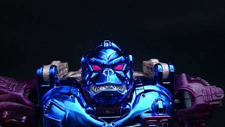 Optimus Primal_9