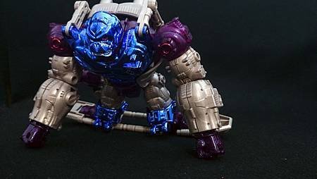 Optimus Primal_16-5