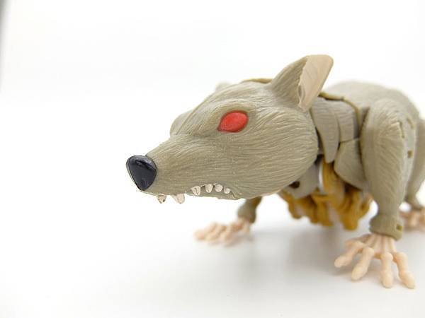 rattrap_6