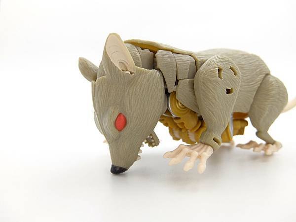 rattrap_6-2