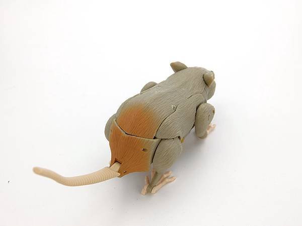 rattrap_11