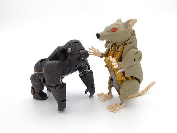 rattrap_13