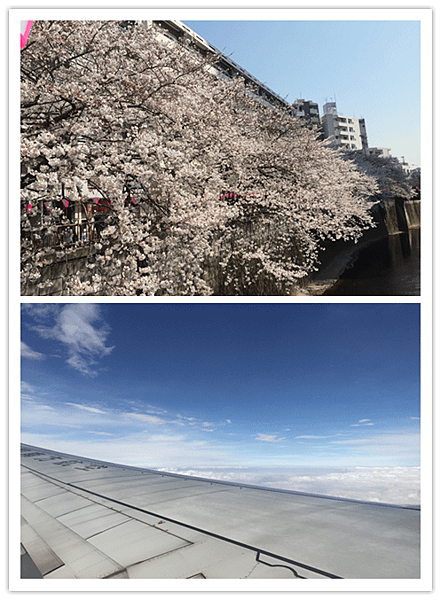 日本ivideo-2.png
