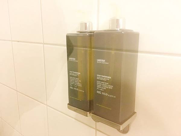 冰島 最後一天Foss hotel  Reykjavik-18.JPG