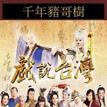 1千年豬哥樹.jpg