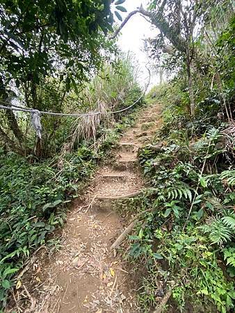 IMG_7412.JPG