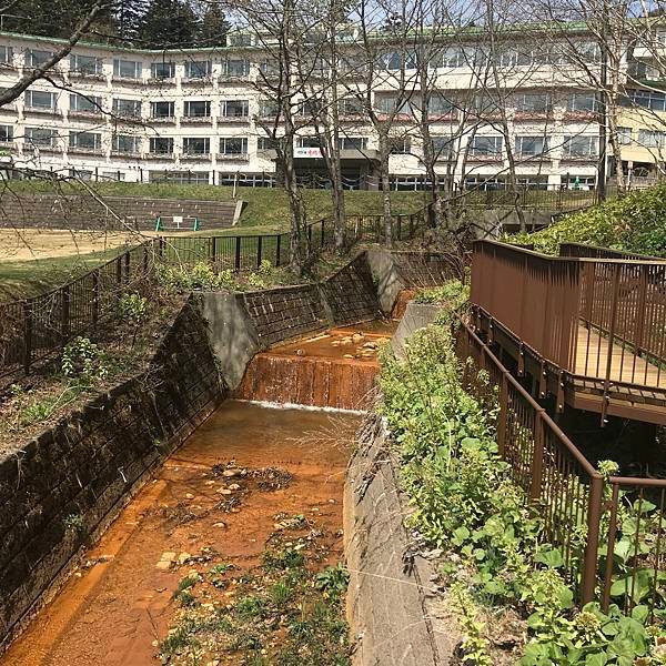 [北海道帶廣] 夏天的然別湖，安靜的美景只屬於自己