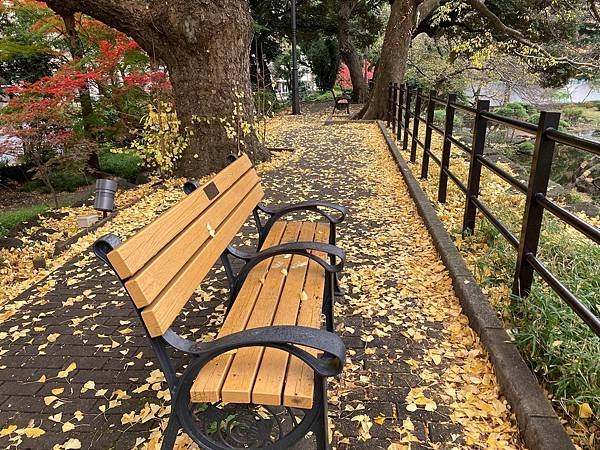 [東京賞楓] 日比谷公園~超推薦的賞楓景點