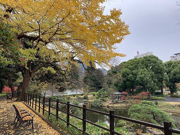 [東京賞楓] 日比谷公園~超推薦的賞楓景點