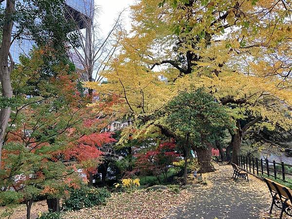 [東京賞楓] 日比谷公園~超推薦的賞楓景點