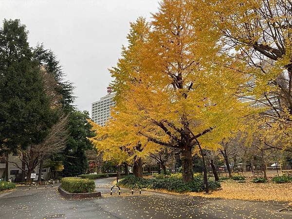 [東京賞楓] 日比谷公園~超推薦的賞楓景點