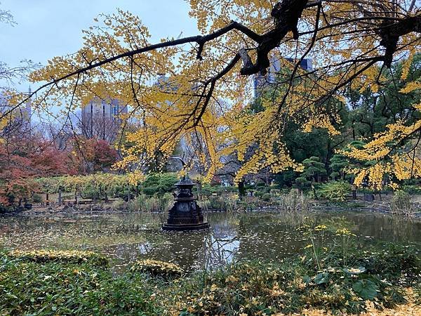 [東京賞楓] 日比谷公園~超推薦的賞楓景點