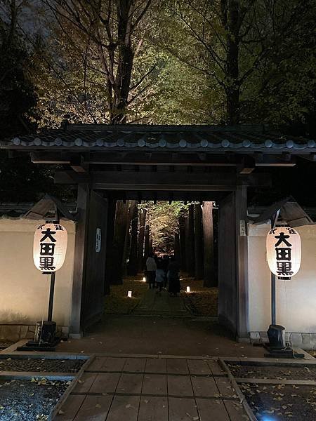 [東京賞楓] 都內推薦大田黑公園賞夜楓