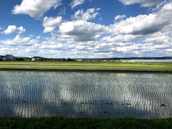 [北海道上富良野] 全景之路江花(パノラマロード江花, Pa