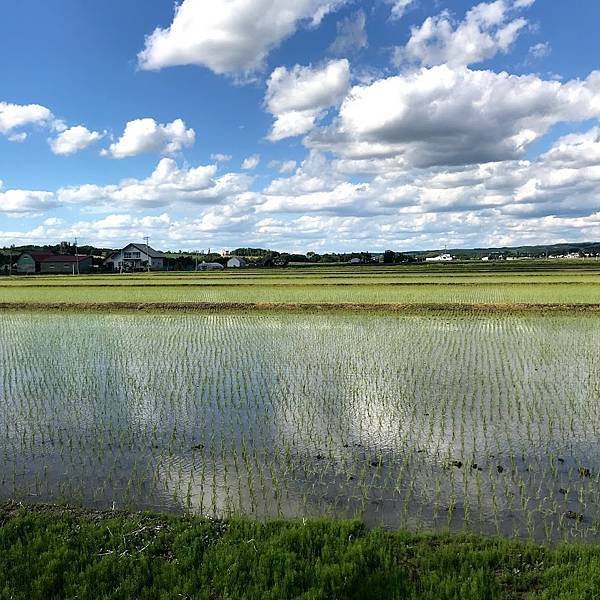 [北海道上富良野] 全景之路江花(パノラマロード江花, Pa