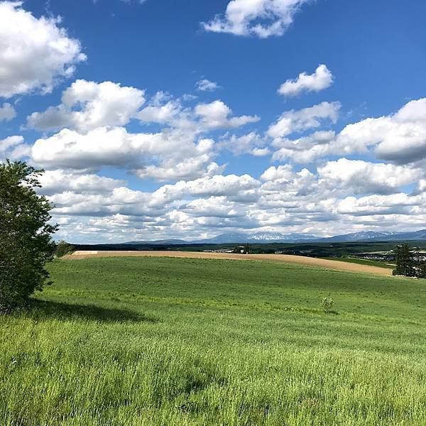 [北海道上富良野] 全景之路江花(パノラマロード江花, Pa