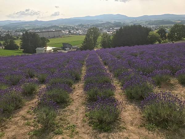 [北海道上富良野] 日之出公園(日の出公園)