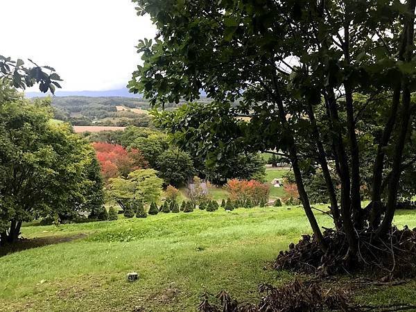 [北海道上富良野] 日之出公園(日の出公園)