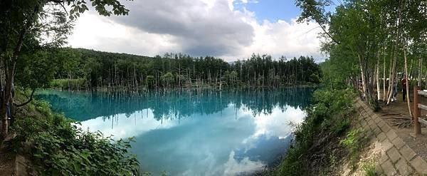 [北海道美瑛] 夏天的青池與白鬚瀑布、十勝岳望岳台