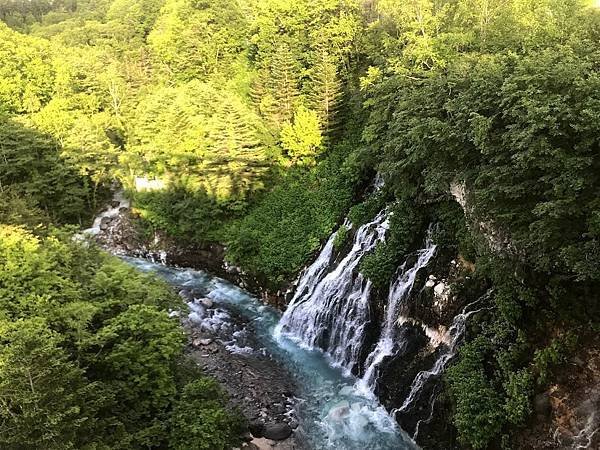 [北海道美瑛] 夏天的青池與白鬚瀑布、十勝岳望岳台