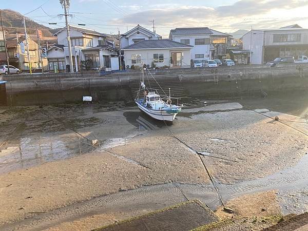 [廣島竹原市] 大久野島被兔兔包圍