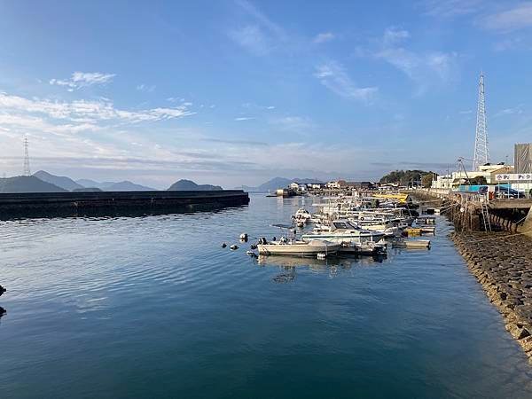 [廣島竹原市] 大久野島被兔兔包圍