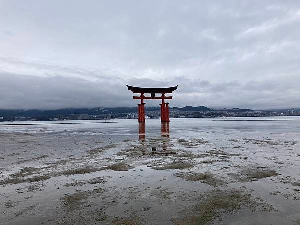 [廣島縣廿日市] 到了廣島必定要去的嚴島神社(いつくしまじん