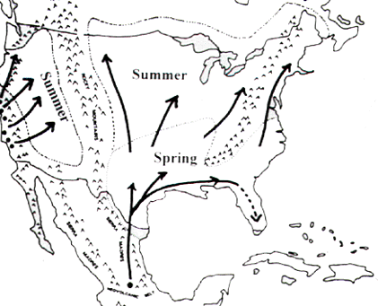 spring_map