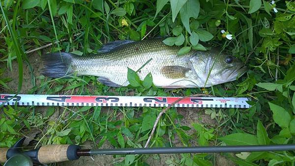 WP_20140809_002