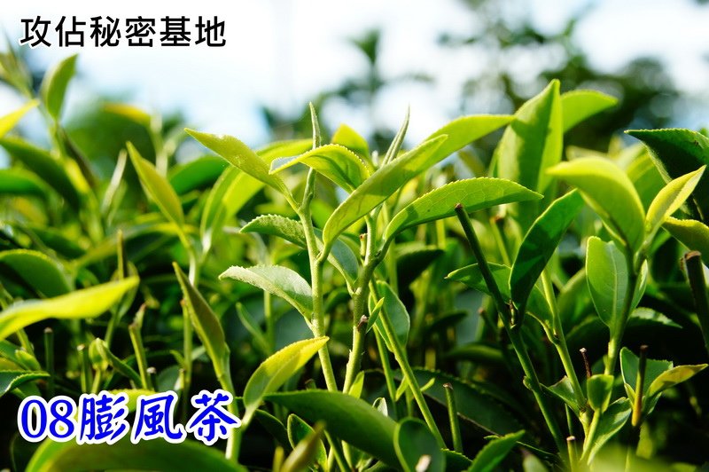 102-1011_探索體驗營26