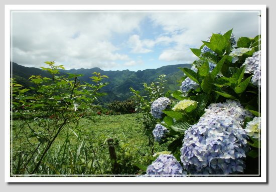 101-0603_石磊場勘17