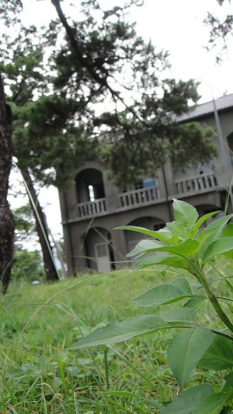 松園別館一隅