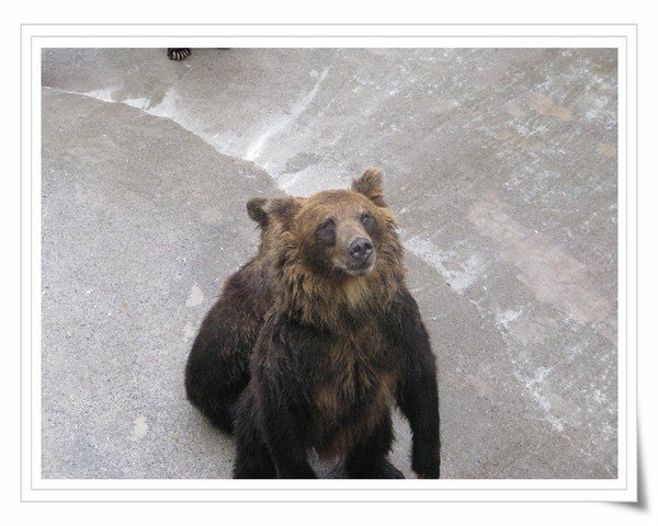 200808_0247.jpg