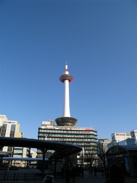 IMG_7379.JPG