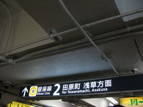 IMG_8765.JPG