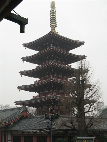 IMG_8834.JPG