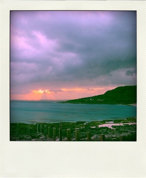 IMG_0374-pola.jpg