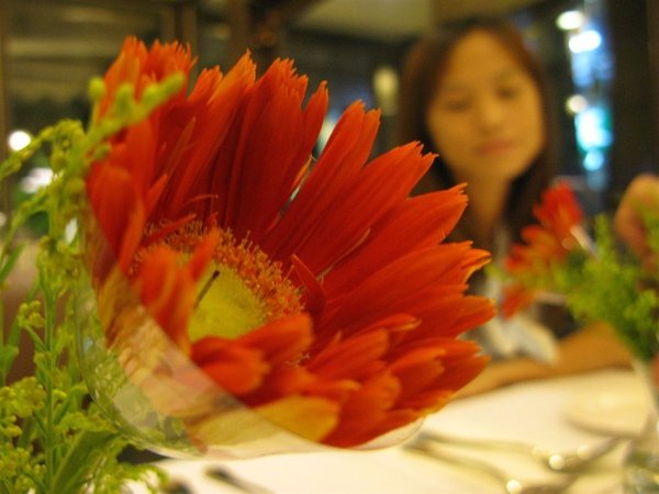 IMG_2494.JPG