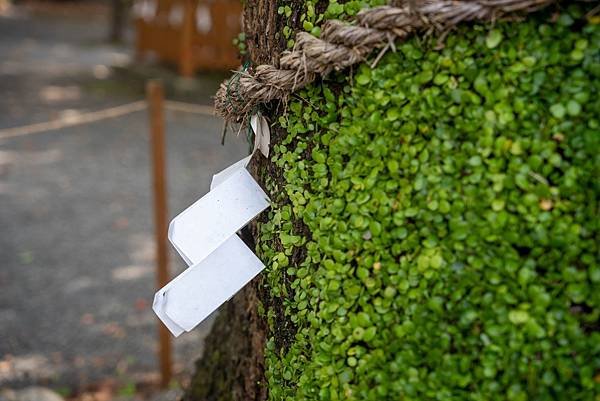 米之宮浅間神社11.jpg