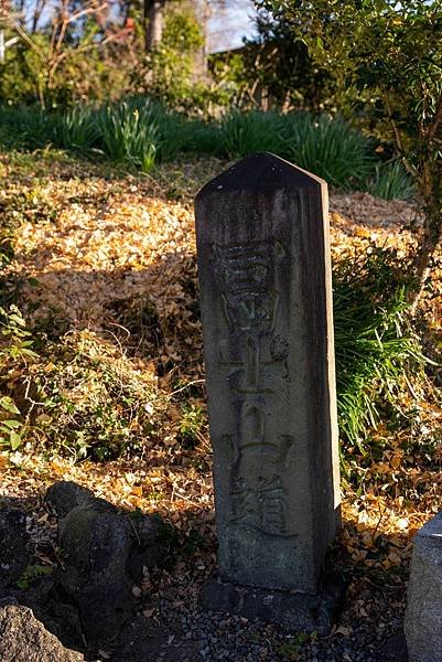 水神社4.jpg