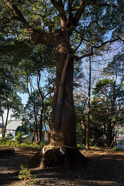 水神社17.jpg
