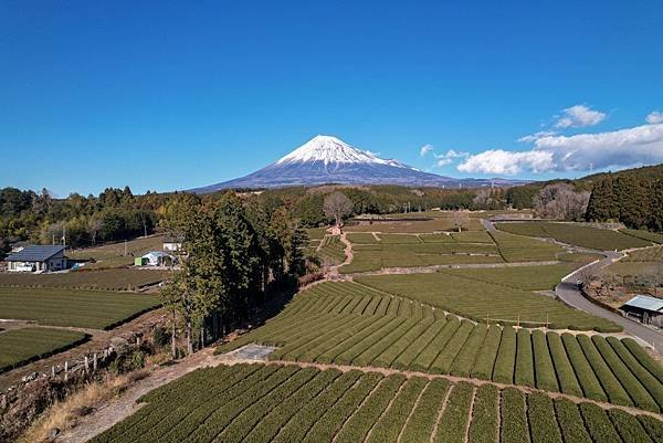 大渕笹場茶の間7.jpg