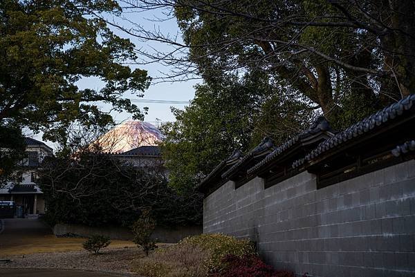 東泉院2.jpg