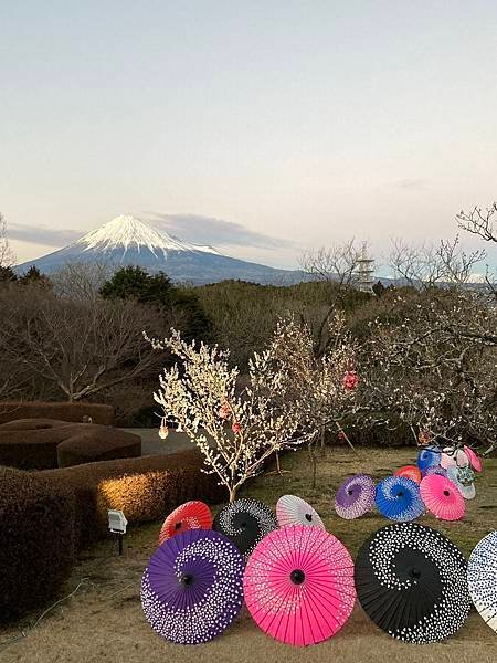 岩本山公園灯り5.jpg