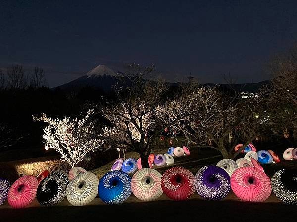 岩本山公園灯り1.jpg