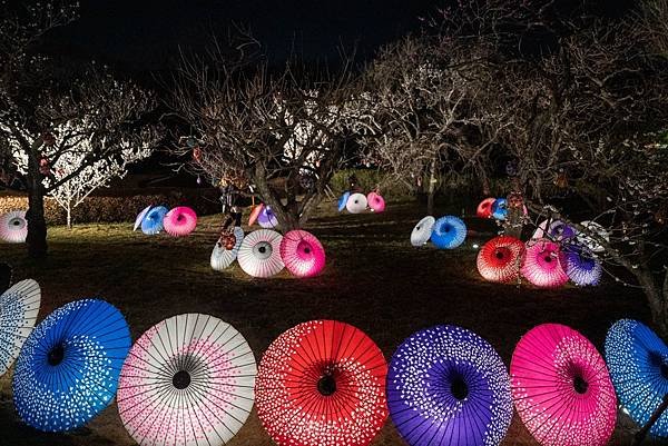 岩本山公園灯り10.jpg