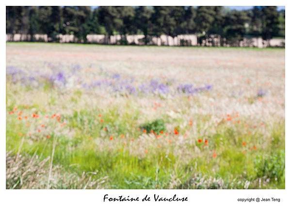 postcard-Sorgue20