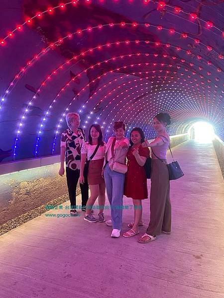 鑫輪企業台灣包車旅遊~114.4.14馬來西亞Elaine6